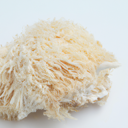 Lion’s Mane Mushroom Powder: A Natural Brain Booster